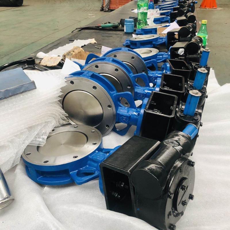 Eccentric Butterfly Valve (19)