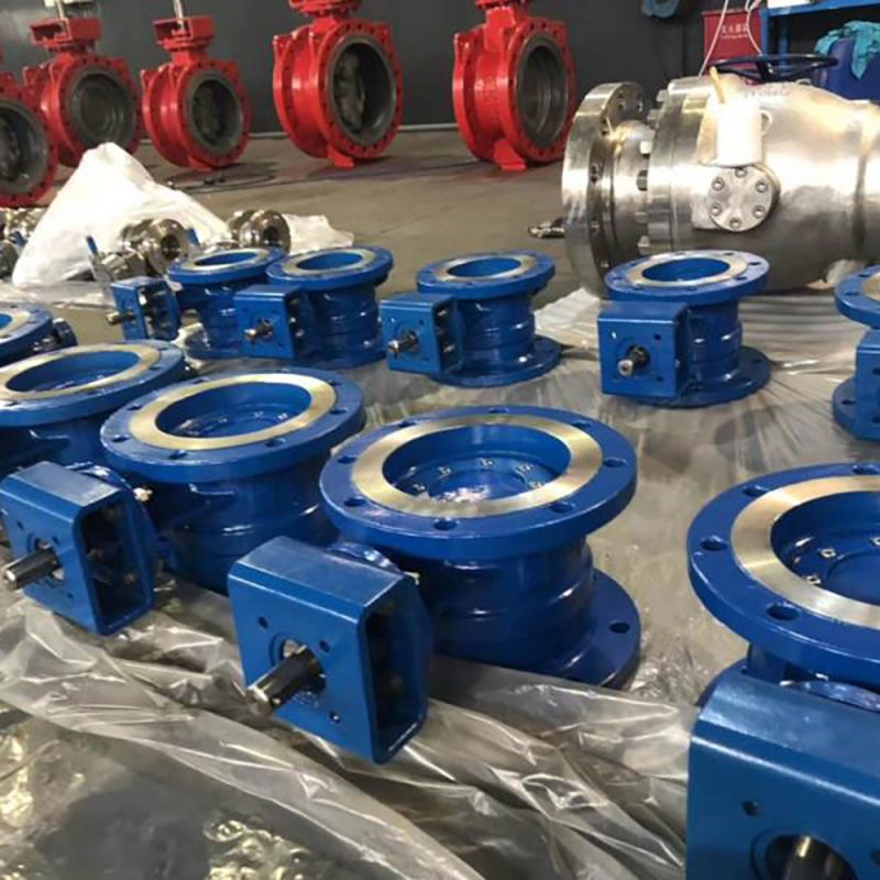 Eccentric Butterfly Valve (20)