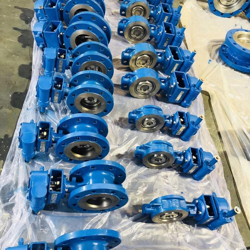 Eccentric Butterfly Valve (21)