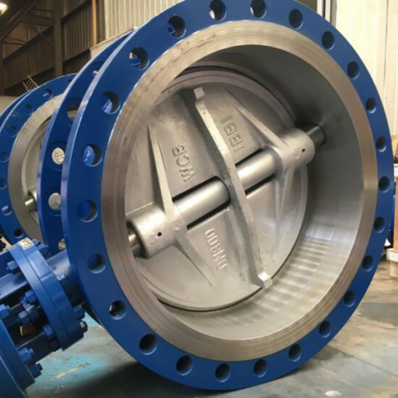 Eccentric Butterfly Valve (22)