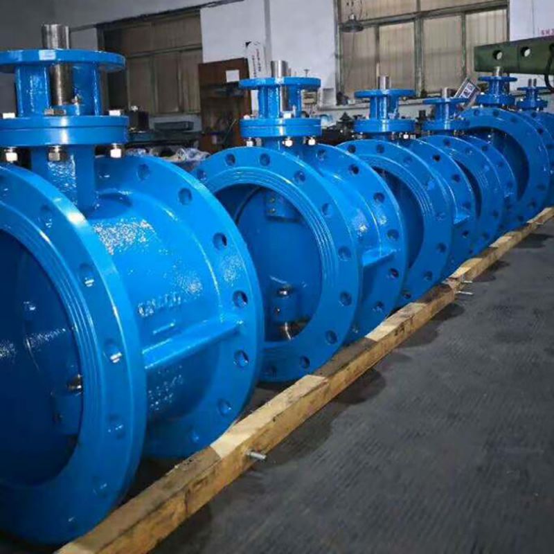 Eccentric Butterfly Valve (2)