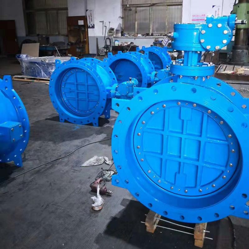 Eccentric Butterfly Valve (4)