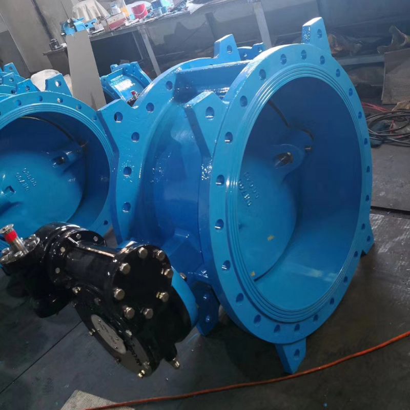 Eccentric Butterfly Valve (5)