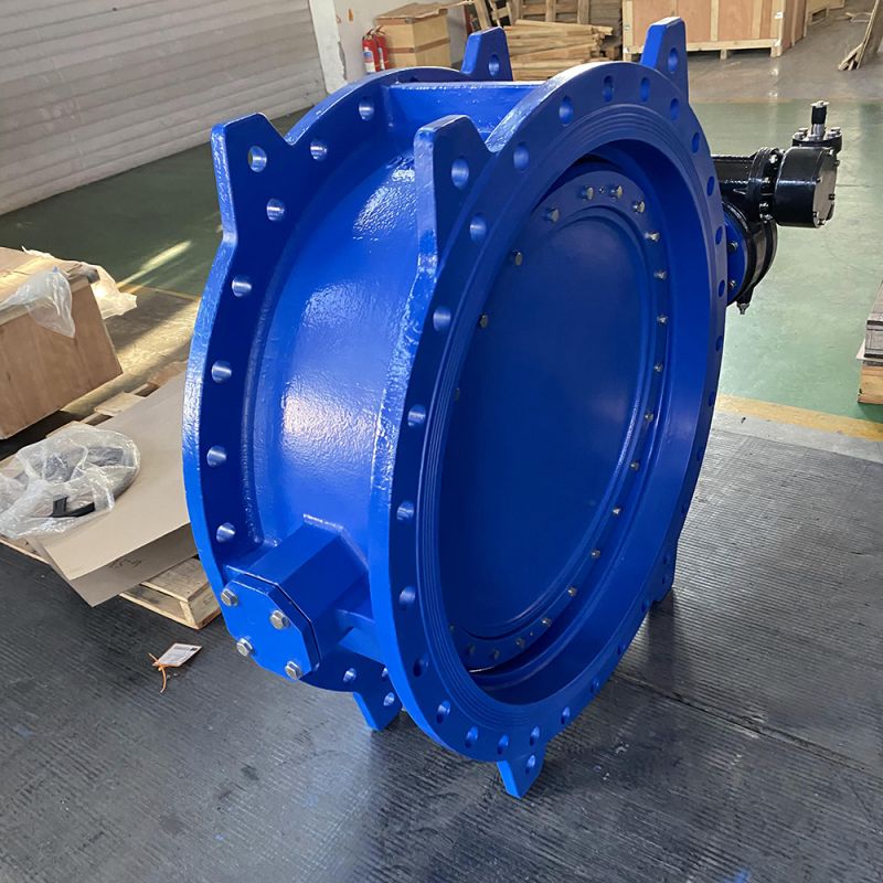 Eccentric Butterfly Valve (6)