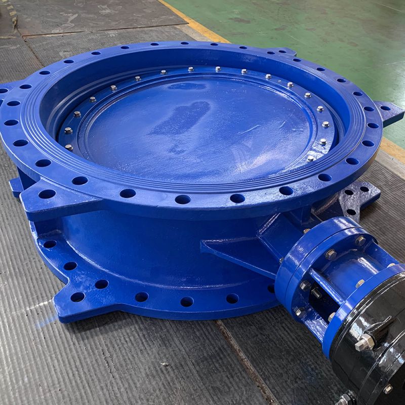 Eccentric Butterfly Valve (9)