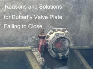 Failing to Close reason and solutions for bfv valve