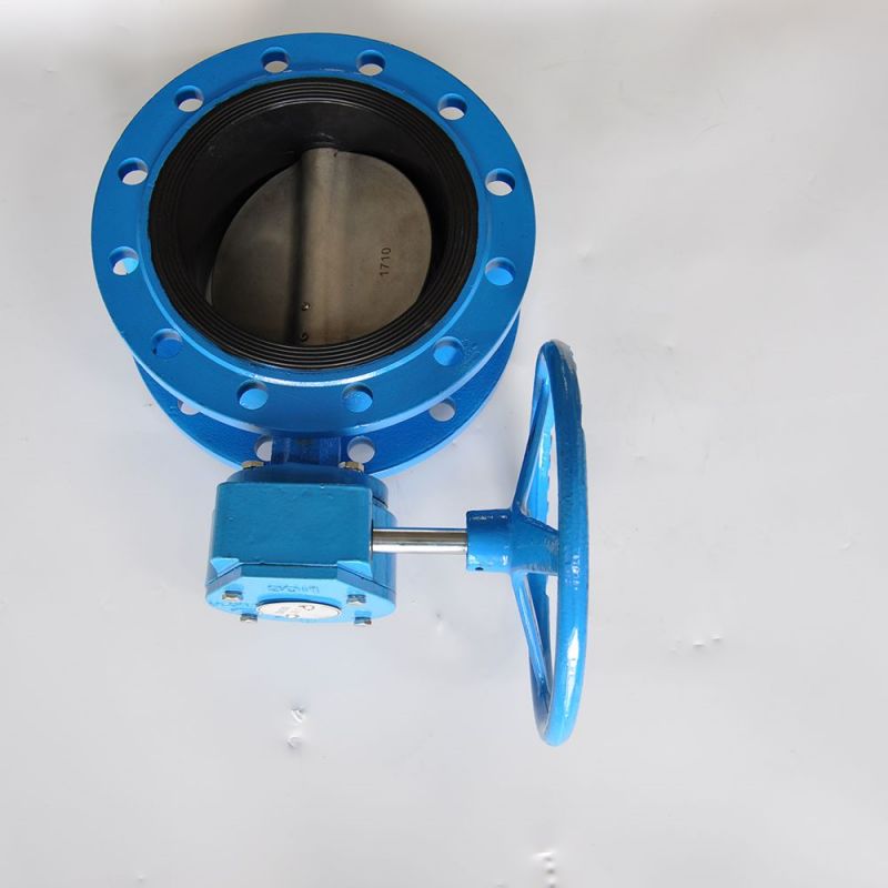 Flange Type Butterfly Valve (10)