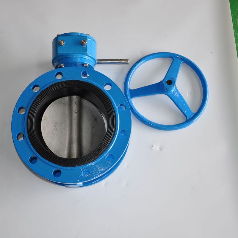 Flange Type Butterfly Valve (14)