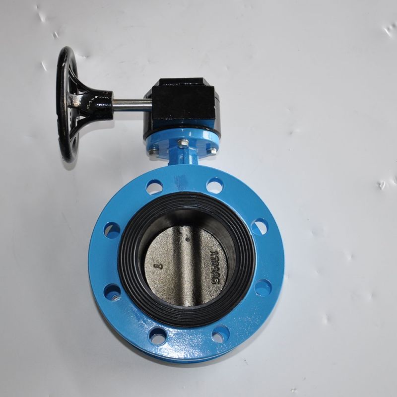 Flange Type Butterfly Valve (15)