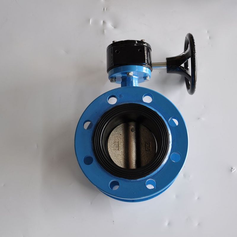 Flange Type Butterfly Valve (16)