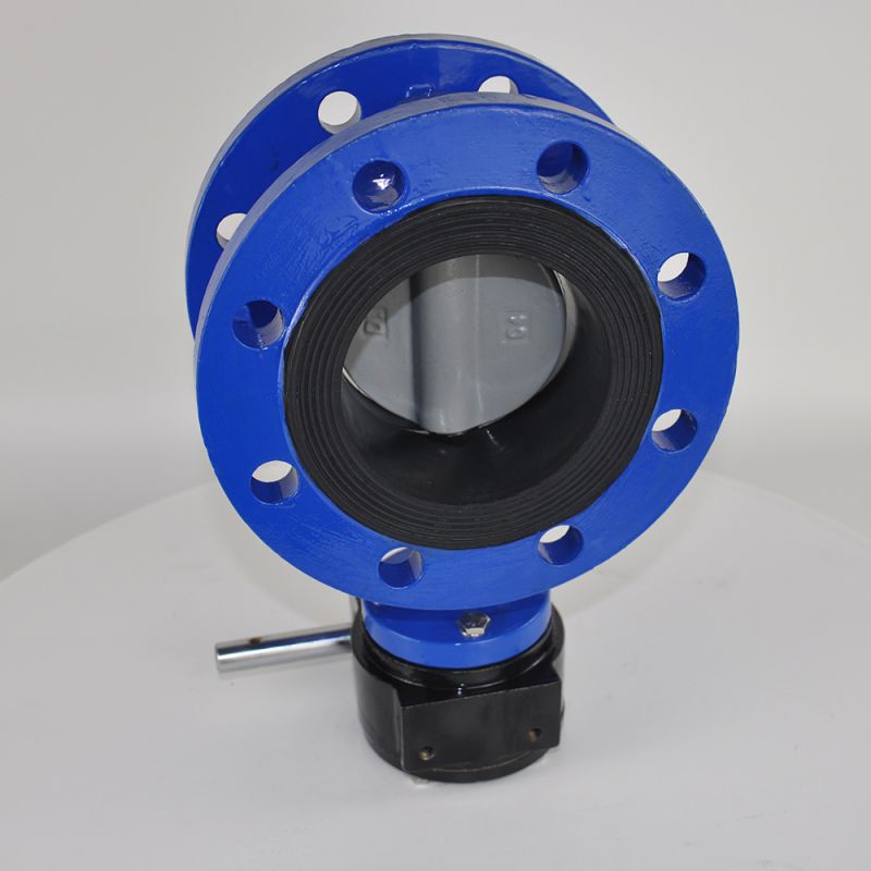 Flange Type Butterfly Valve (19)