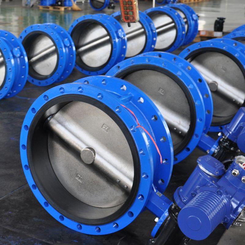 Flange Type Butterfly Valve (20)