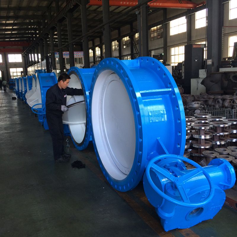 Flange Type Butterfly Valve (22)