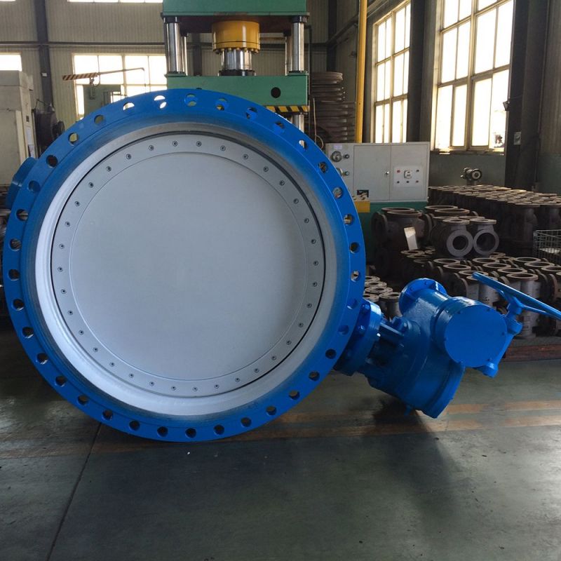 Flange Type Butterfly Valve (24)