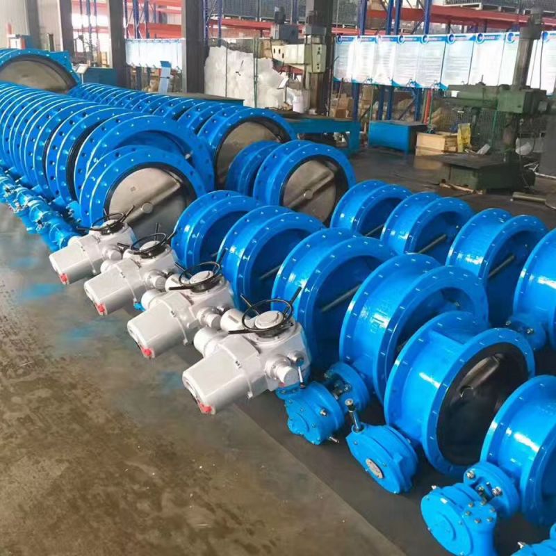Flange Type Butterfly Valve (28)