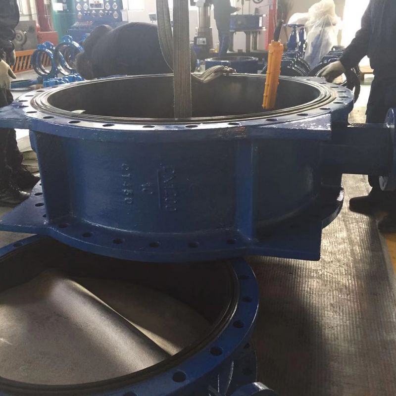 Flange Type Butterfly Valve (33)
