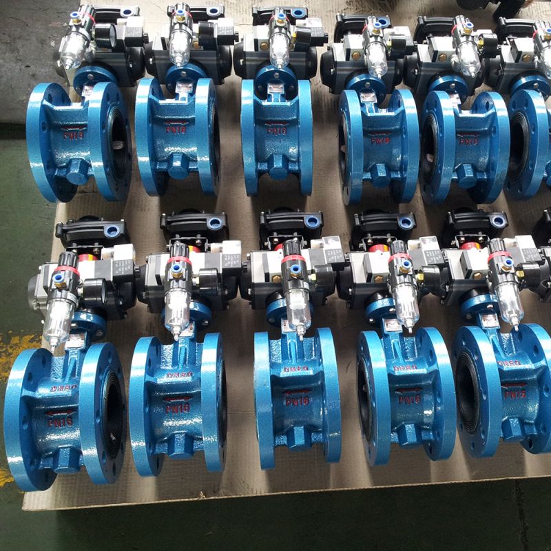 Flange Type Butterfly Valve (3)