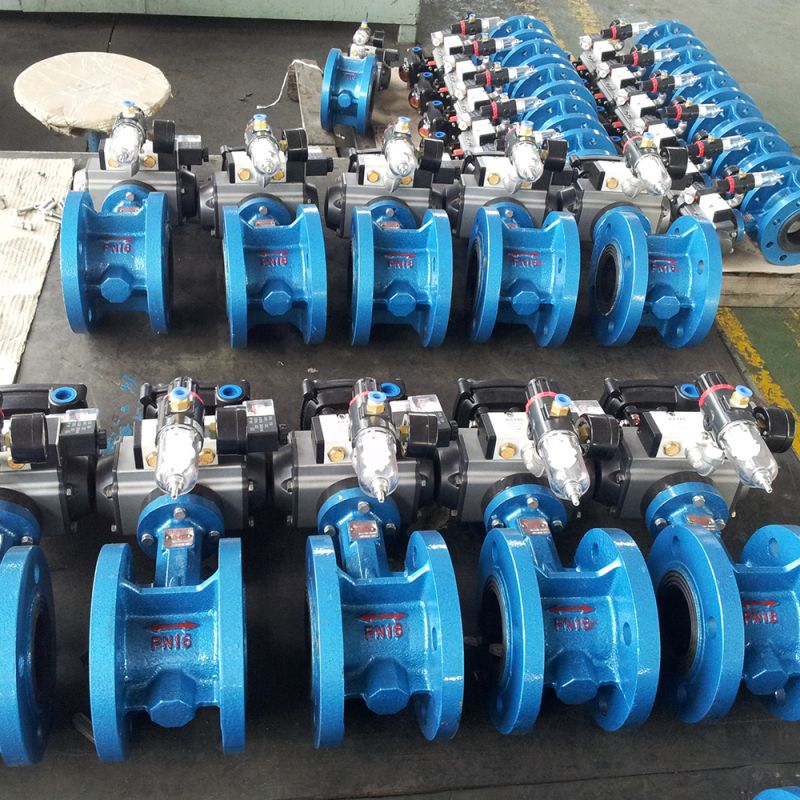 Flange Type Butterfly Valve (4)
