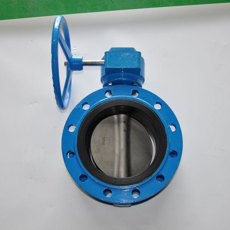 Flange Type Butterfly Valve (8)