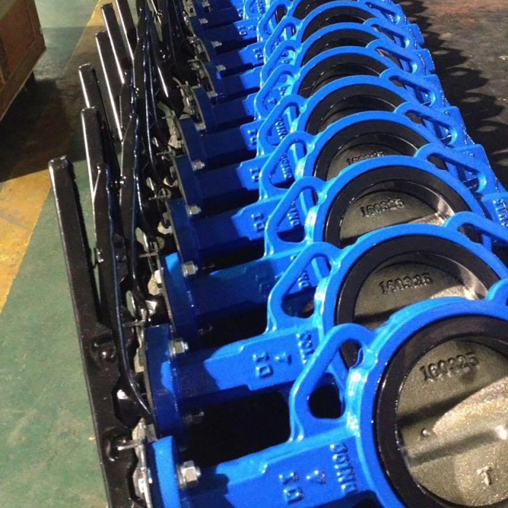 Handle Actuated Ductile Iron Wafer Type Butterfly Valve (6)