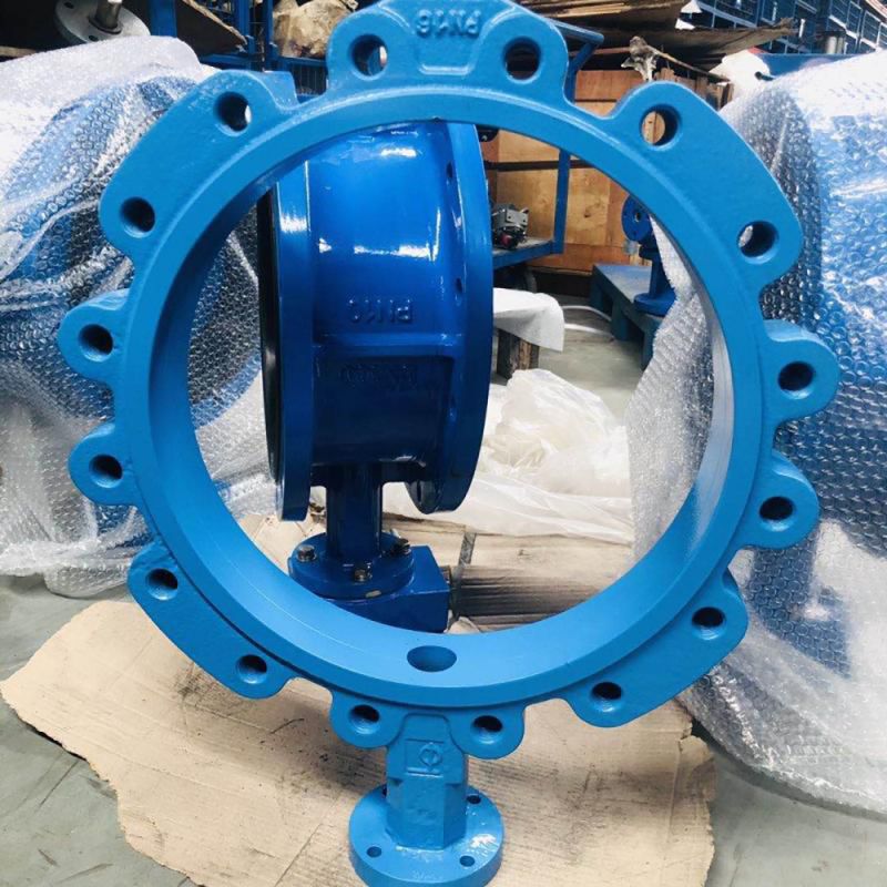 Lug Type Butterfly Valve (11)