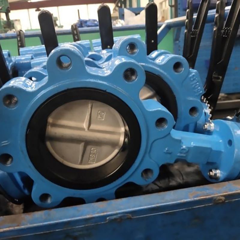 Lug Type Butterfly Valve (12)