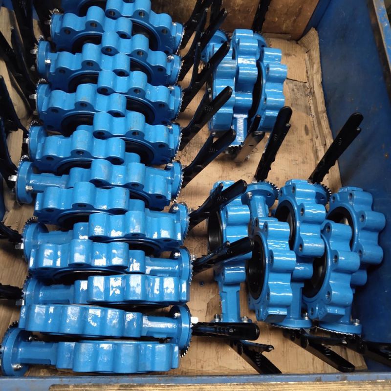 Lug Type Butterfly Valve (13)