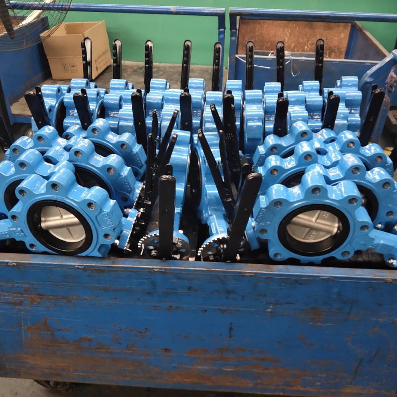 Lug Type Butterfly Valve (14)