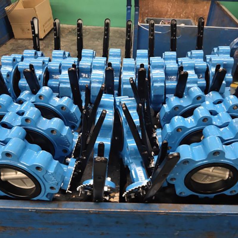 Lug Type Butterfly Valve (16)