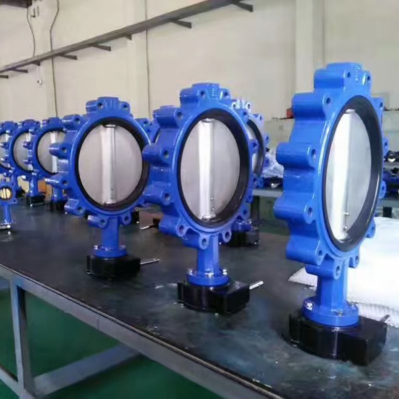 Lug Type Butterfly Valve (27)