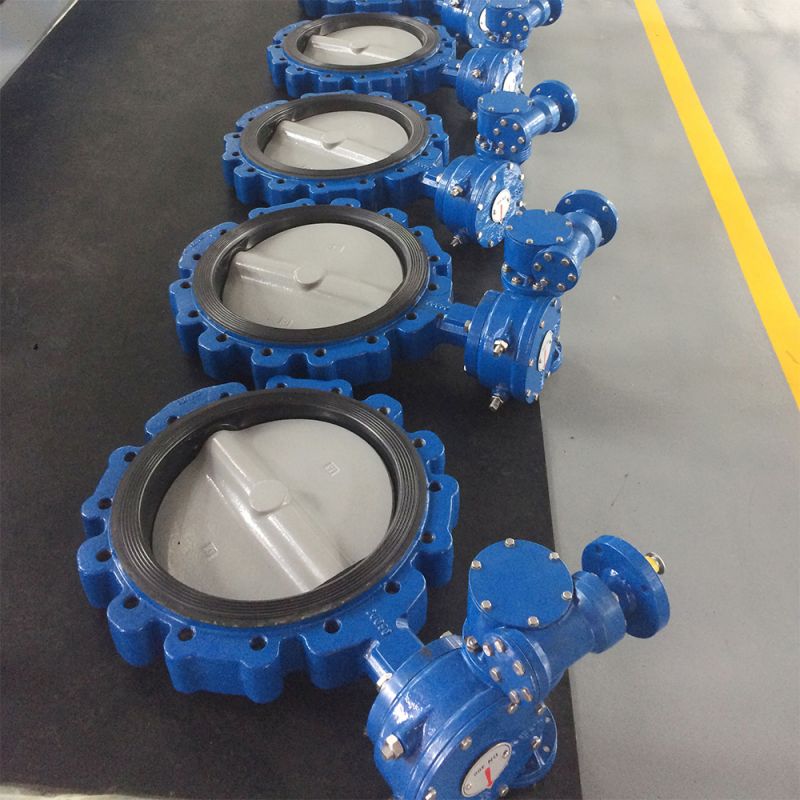 Lug Type Butterfly Valve (3)