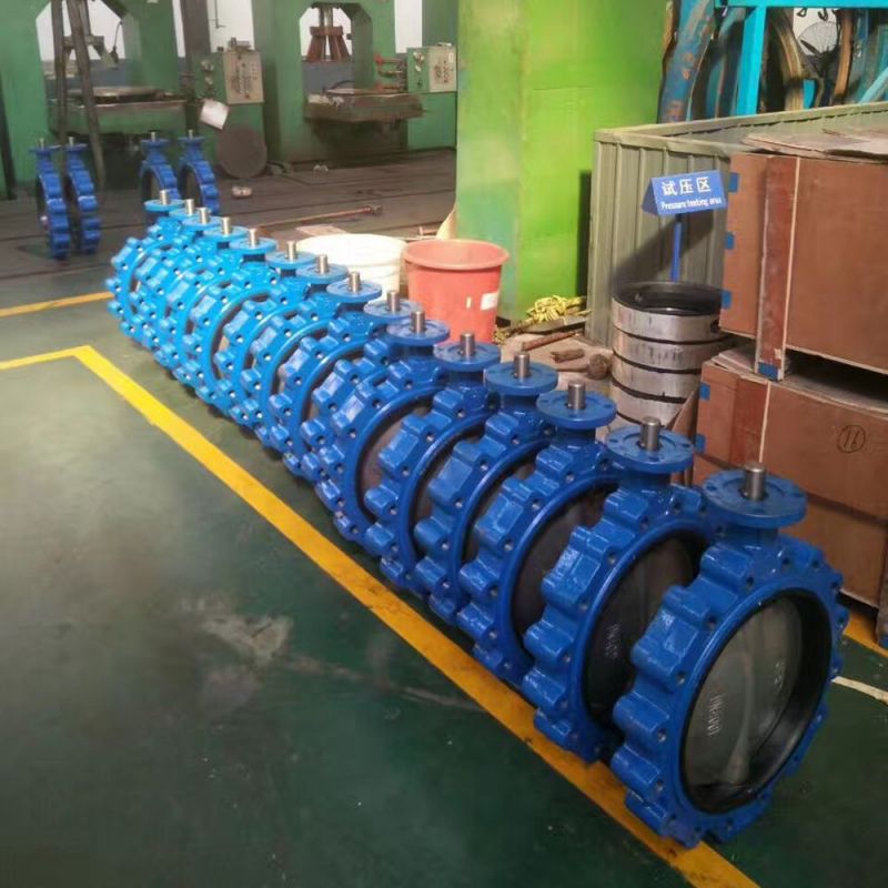 Lug Type Butterfly Valve (35)