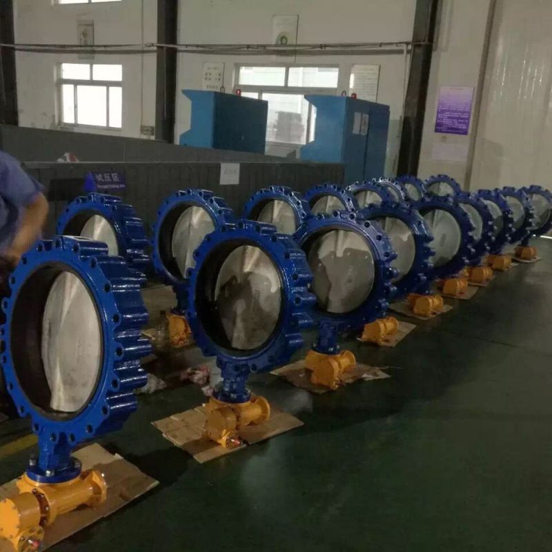 Lug Type Butterfly Valve (36)