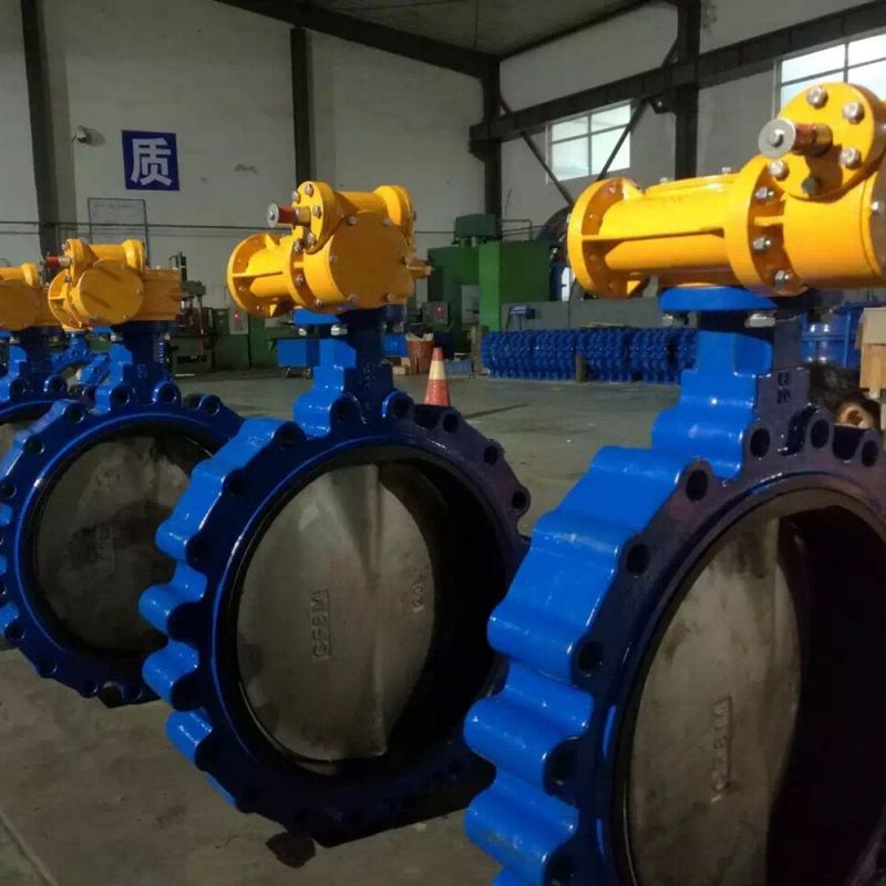 Lug Type Butterfly Valve (37)