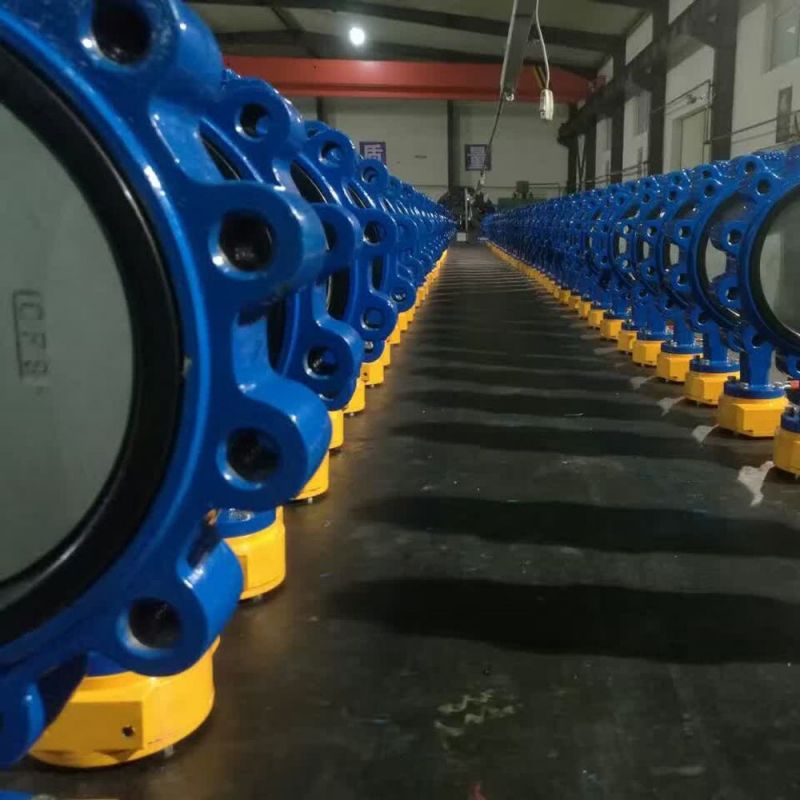 Lug Type Butterfly Valve (38)