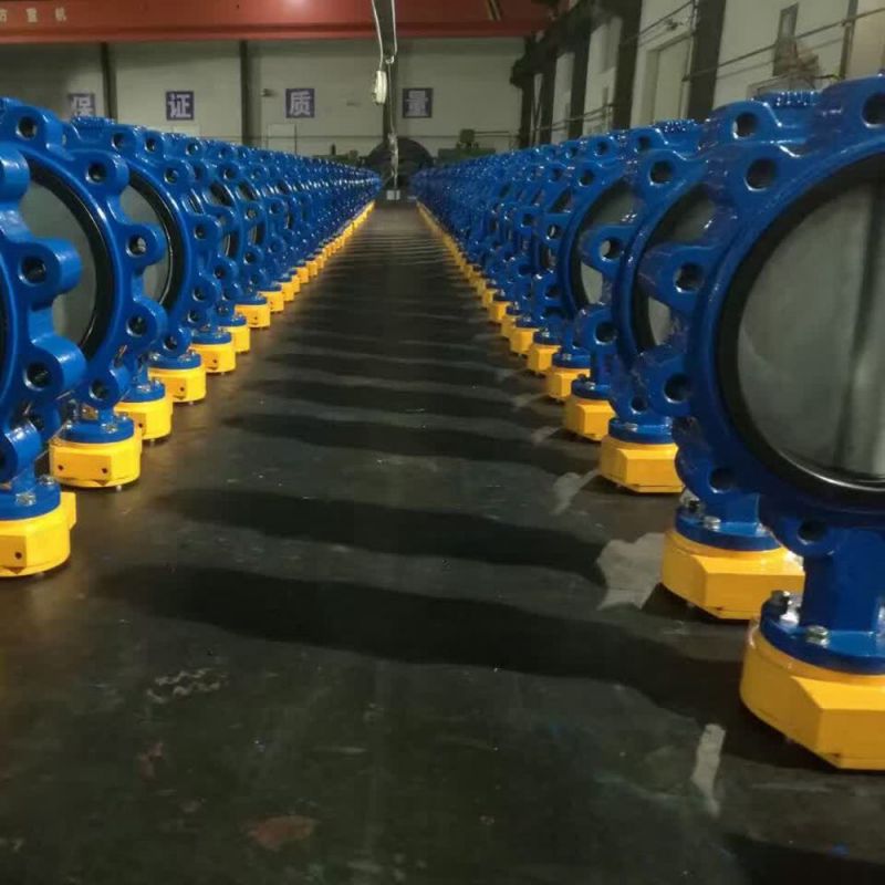 Lug Type Butterfly Valve (39)