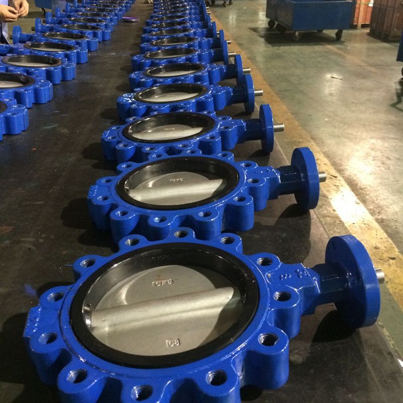 Lug Type Butterfly Valve (40)