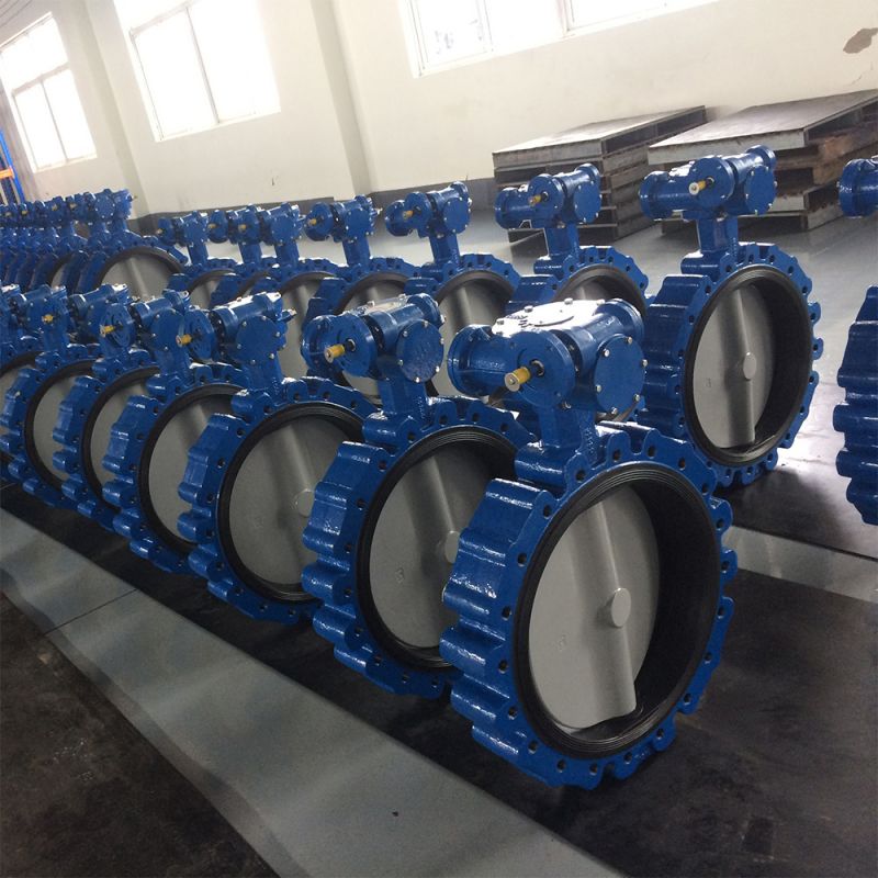 Lug Type Butterfly Valve (4)