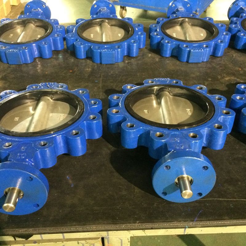 Lug Type Butterfly Valve (44)