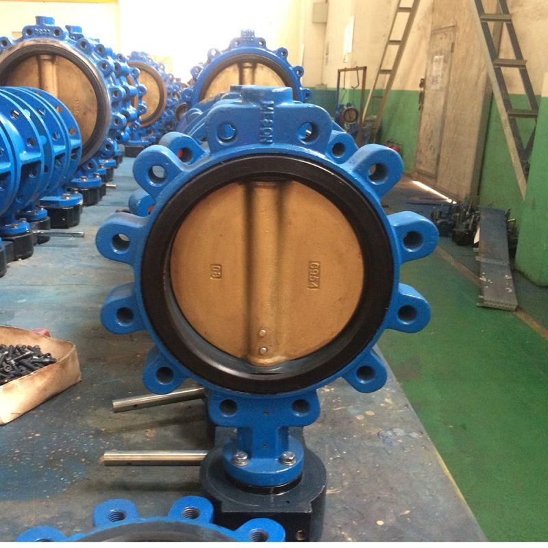 Lug Type Butterfly Valve (45)