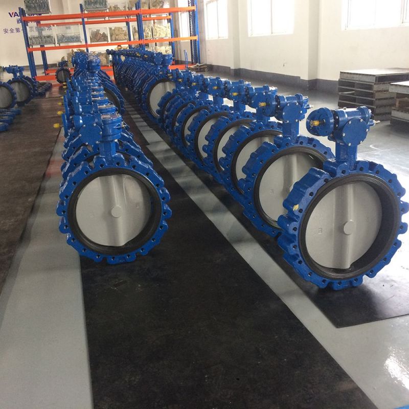 Lug Type Butterfly Valve (46)