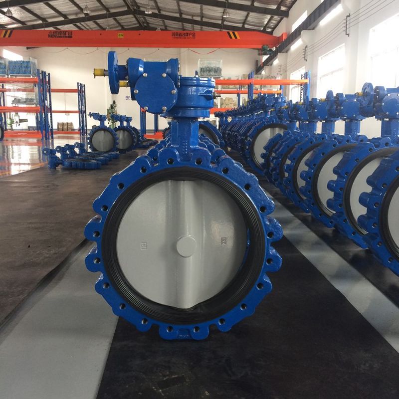 Lug Type Butterfly Valve (47)