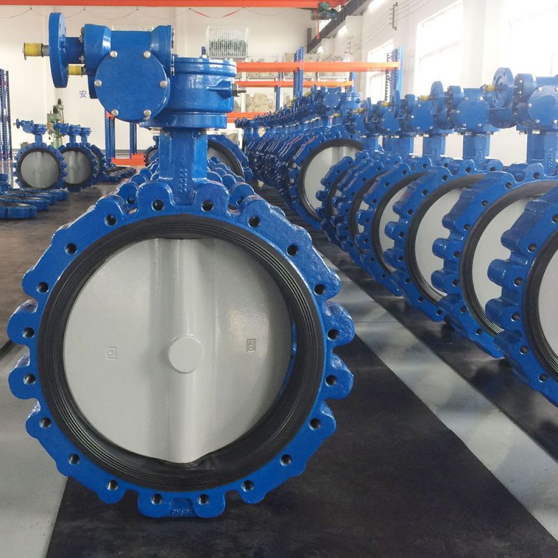 Lug Type Butterfly Valve (49)