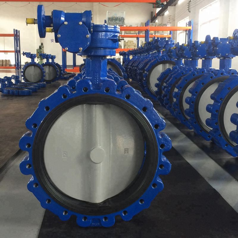 Lug Type Butterfly Valve (5)