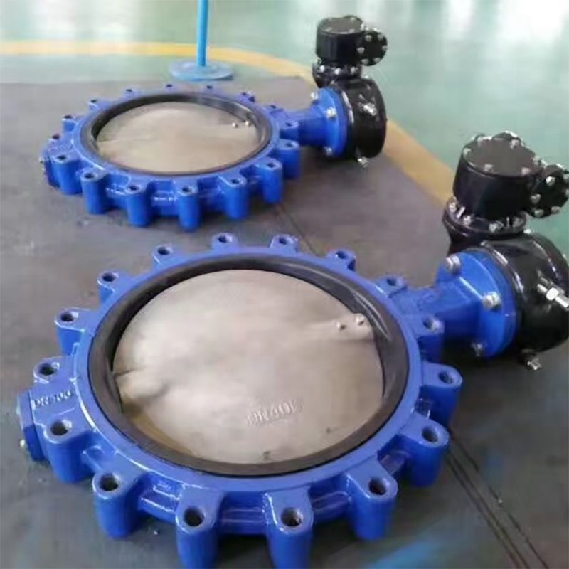 Lug Type Butterfly Valve (6)