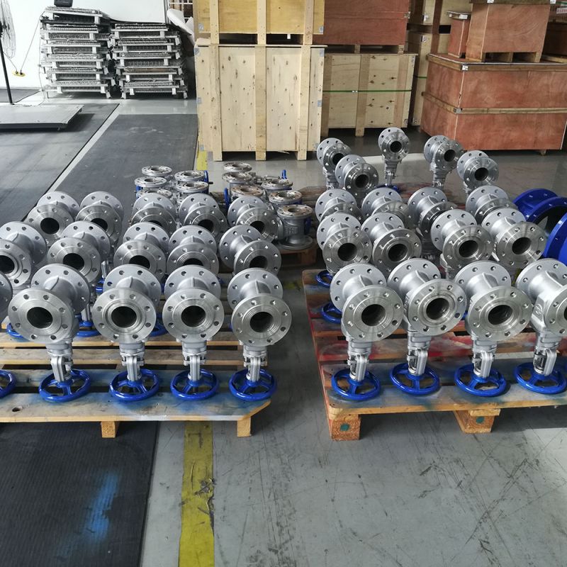 Metal Seal Gate Valve (2)