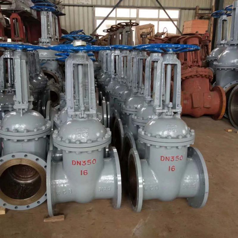 Metal Seal Gate Valve (26)