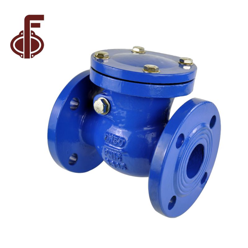 Swing Type Check Valve (5)