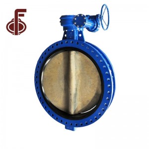 U Section Flange Butterfly Valve (2)