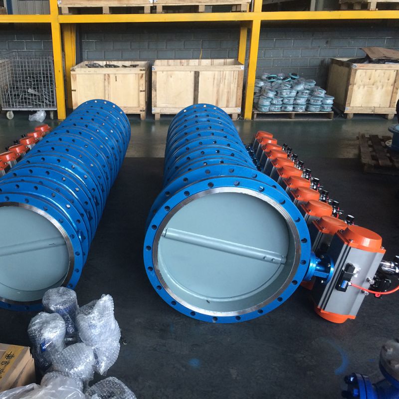 U Type Butterfly Valve (10)